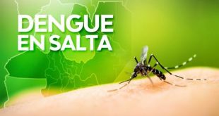 Gran incremento de casos de dengue en la provincia